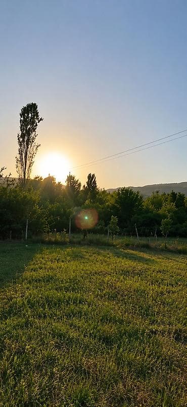 zabratda torpaq satilir: 50 sot, Mülkiyyətçi, Bələdiyyə — 6