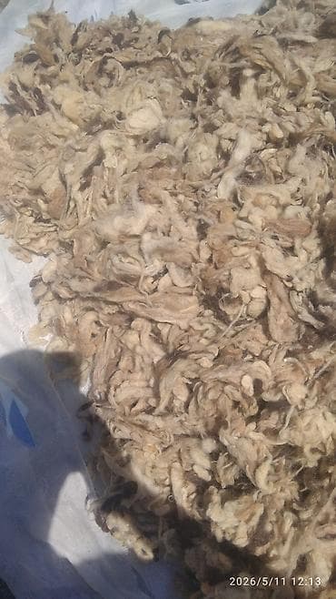 yataş matras: Təbii qoyun yunu. Döşəyin içindən çıxarılıb. 8-9 kiloqram — 2