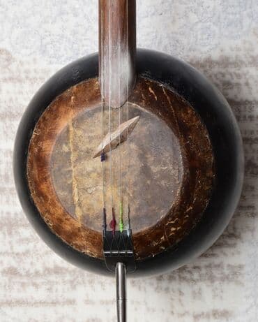 Saz: Kamança xalq çalğı aləti. Çox dəyərlidir. Üstündə çexol, əlavə simlər — 5