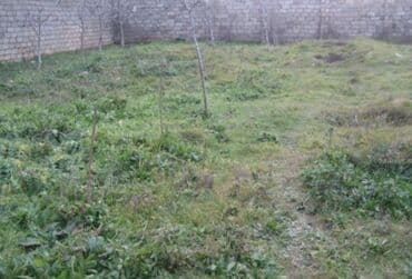 razinde torpaq: 15 sot, Kənd təsərrüfatı, Mülkiyyətçi, Kupça (Çıxarış) — 1