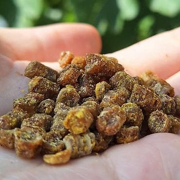 nar ciceyi: Propolis, güləm, arı çörəyi (perqa) – təbii arıçılıq məhsulu Hər bir — 4