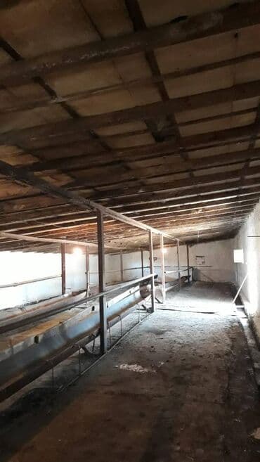 nerimanovda obyekt satilir: Suraxanı rayonu, Bahar qəsəbəsi, Süd zavodunun yanı, 12 sotda ümumi — 8