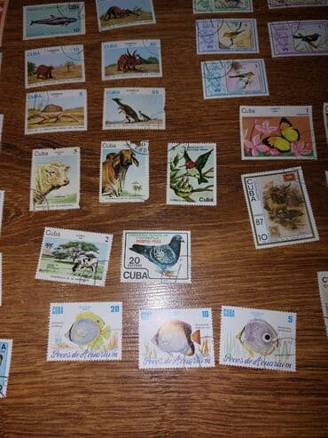 george marka: * Sovet vaxtından qalan xarici markalar. Yeni olaraq o vaxtdan bağlı — 6