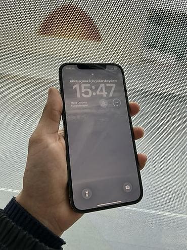 IPhone 12 Pro Max, 256 GB, Natural Titanium, Face ID — 2