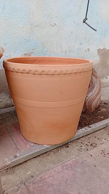 BÖYÜK GÜL QABLAR ÜNVAN XIRDALAN #DİBÇEK #bağ evi #heyet #həyət lalafo.az -da BÖYÜK GÜL QABLAR ÜNVAN XIRDALAN #DİBÇEK #bağ evi #heyet #həyət