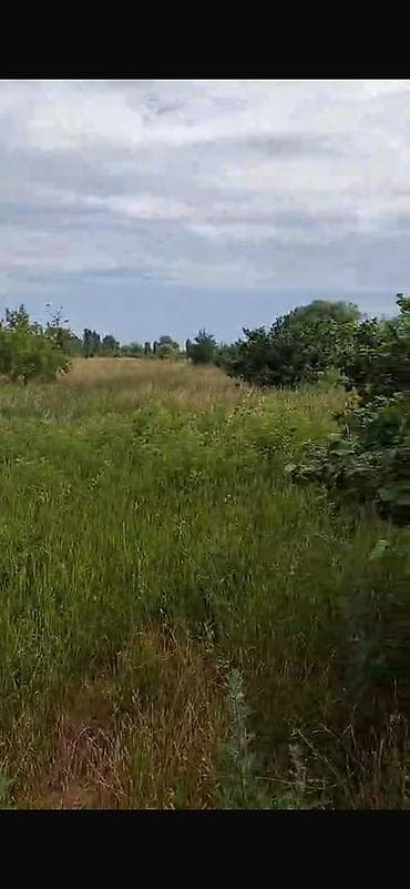 bolt hansi masinlari qebul edir: 150 sot, Biznes üçün, Barter mümkündür, Kupça (Çıxarış) — 4