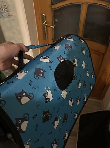 Britan, Dişi, Yaxşı əllərə — 9