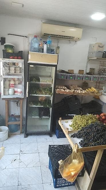 tursu: Meyvə-tərəvəz mağazası üçün təzə məhsullar: - Qarğıdalı, yumurta — 7
