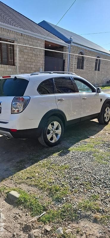 panda cexol: Chevrolet Captiva – ağ rəngli, şəhər və off-road üçün universal — 2