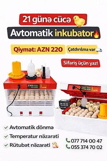 səyyar ev: INKUBATOR 🔥 Avtomatik Yumurtadan Çıxarma Aparatı (İnkubator) 🔥 🐣 Təzə — 1