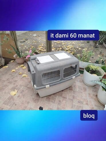 it ucun paltar: Məhsul: It daşıma qutusu (it damı) Təsvir: - Sərt plastik korpus, iki — 1