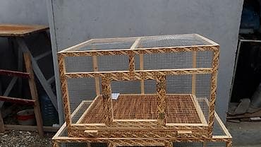 cane corso qiyməti: Teze tixilma boyuk olculerde qefesler.alti setka ustu padnoslu ve — 3