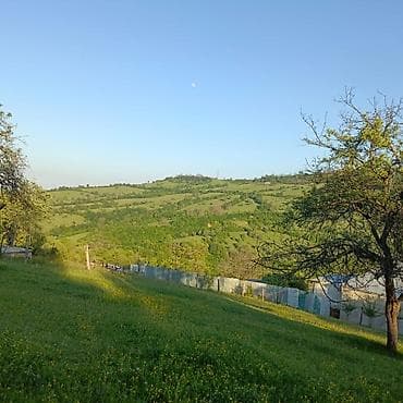 digah heyet evleri: Tikinti — 8