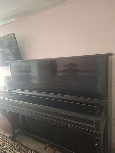 Клавишные инструменты: Qara rəngli, klassik üslubda akustik pianino. Korpus üzərində — 5