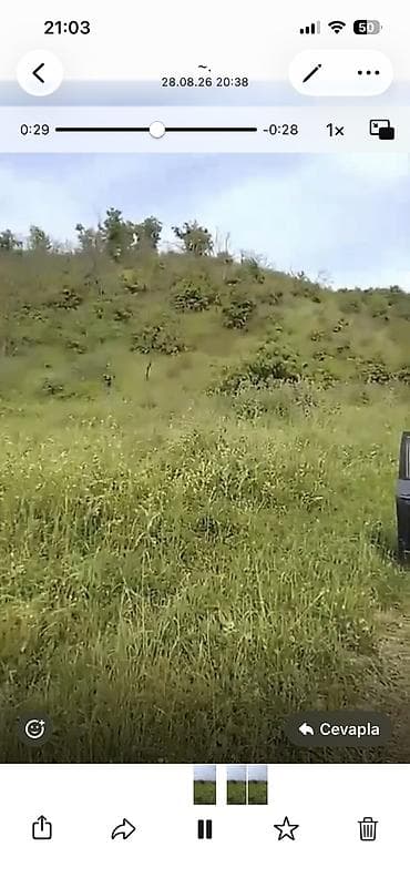 Quba seherinin deveci rayonu Zeyve kendi Devecinin alt yaninda 1hektar — 5