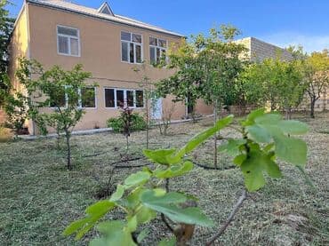 сниму дачу посуточно: Novxanıda Qurd dərəsi deyilən ərazidə, əsas yoldan təxminən 800 metr — 8