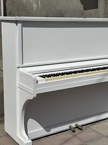 studiya mikrafonu: Ağ rəngli akustik upright pianino - Klassik vertikal korpus, sadə və — 9