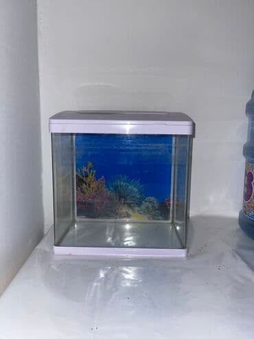 akvarium filteri: Akvarium. Əla vəziyyətdə . Filtrı yoxdur.İşıqı işləyir — 2
