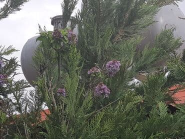 дача с бассейном аренда: 126 kv. m, 3 otaqlı, Hovuzlu, Artezian quyusu, İnternet, Telefon — 18