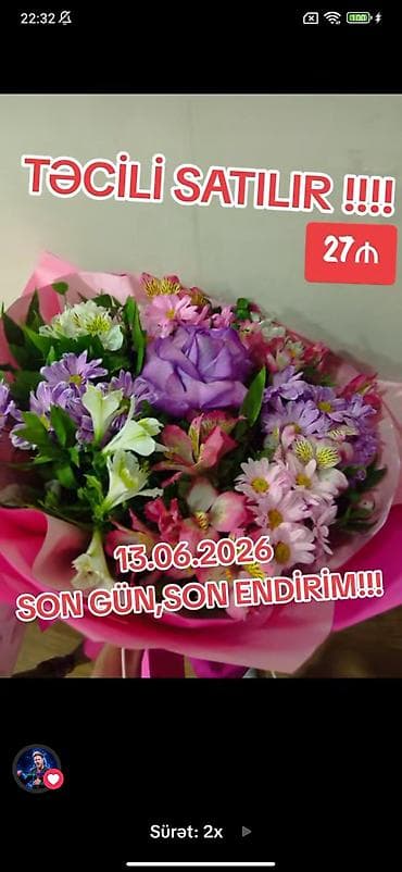 daş gülü: TƏCİLİ SATILIR !!!! 13.06.2026 təbii güldür satılmadan tələsin!!! — 1