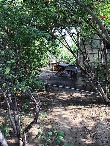 lalafo satılık emlak: Məhsul: Meyvə Bağı (həyətyanı torpaq sahəsi) Təsvir: - Yaşıl, kollu — 7