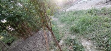 продажа и аренда домов: 5 sot, Tikinti, Mülkiyyətçi, Kupça (Çıxarış) — 4