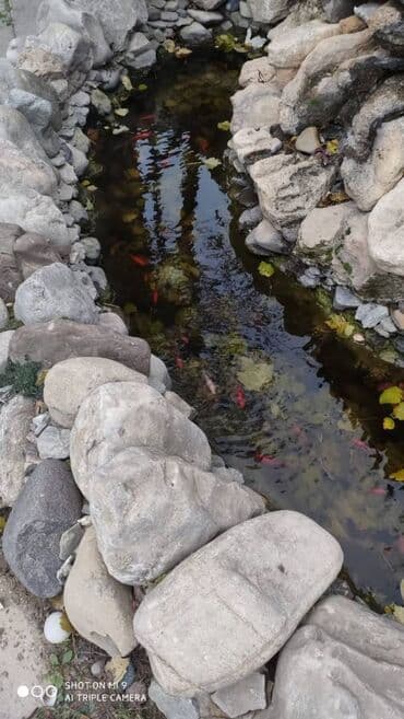 yeni evlər: 8 otaq, 550 kv. m, Yeni təmirli — 19