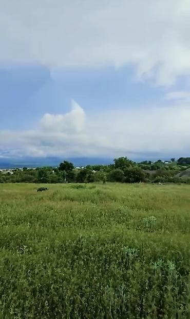 ucuz torpaq saheleri: 13 sot, Tikinti, Mülkiyyətçi, Kupça (Çıxarış) — 3