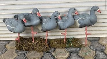 Fiqur, Plastik, rəng - Boz