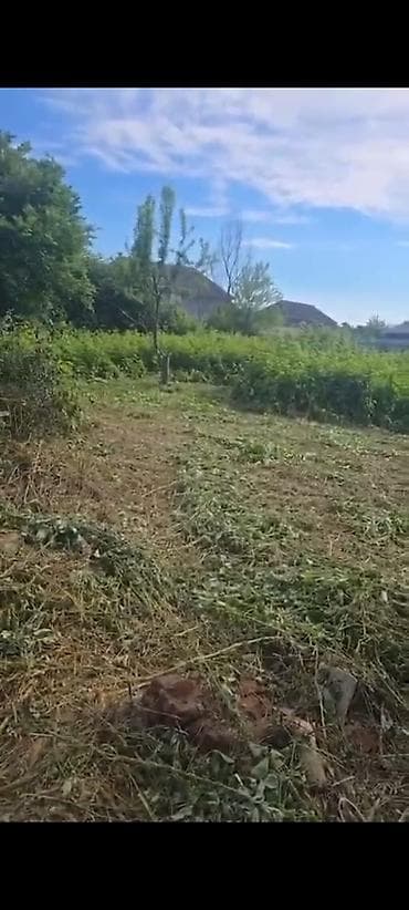 heyet evi masazir: 12 sot, Tikinti, Mülkiyyətçi, Kupça (Çıxarış) — 6