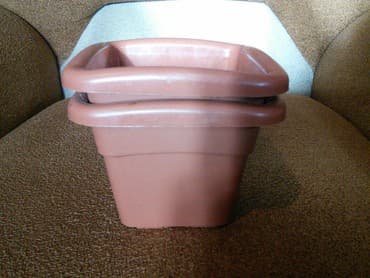 dibcek satisi: Dibcekler satilir tezediler biri 1 azn 2 denedi cemi — 1