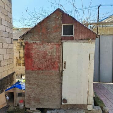 pişik yuvası: Salam Aleykum Quşxana satılır istəyən olsa əlaqə saxlasın .hündürlük — 11