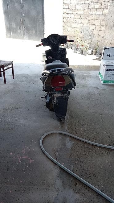 moped: , təcili satlr sənədi yoxtu belə alqə saxlynı 0516461951 bird~ statr — 2