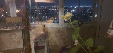 купить квартиру в баку азербайджан: 3-cü mikrorayon, 3 otaqlı, Yeni tikili, m. 8 Noyabr, 106 kv. m — 12