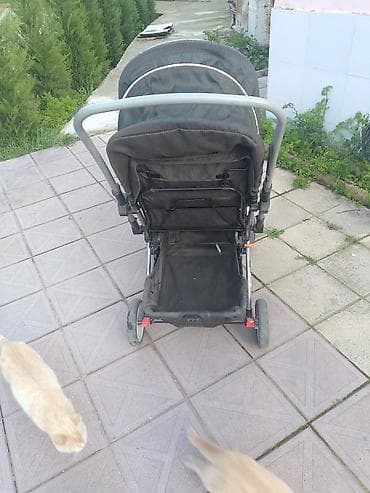 Коляски: Классическая прогулочная коляска — 3