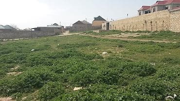 5 sot, Tikinti, Mülkiyyətçi