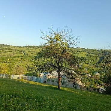 digah heyet evleri: Tikinti — 7