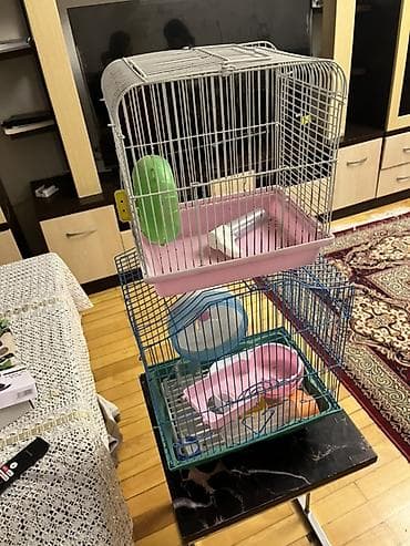 Gəmiricilər: Hamster və ya kiçik gəmiricilər üçün iki ədəd qəfəs komplekti Mavi — 3