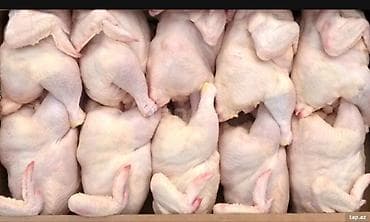 azza elaqe: Toyuq və toyuq məhsulları. ən ucuz qiymətə çatdırılma var. əlaqə — 3