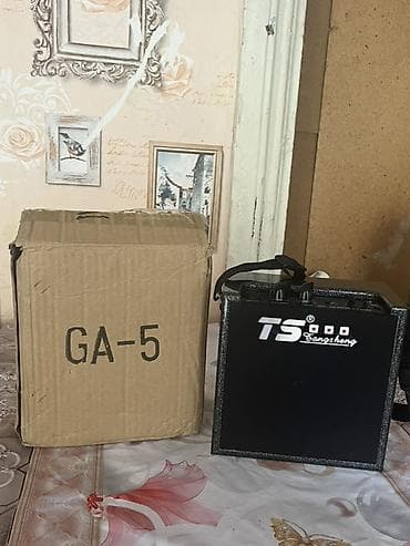 gitara simi: TS GA-5 portativ gitar gücləndiricisi Xüsusiyyətlər: - Güc: 5 Watt — 1