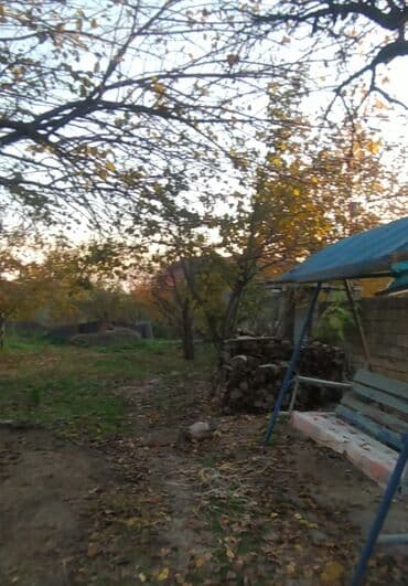 bakı ucuz kiraye evler: Kirayə üçün ev - Plan: böyük zal, ayrıca yataq otaqları - Zal: taxta — 10