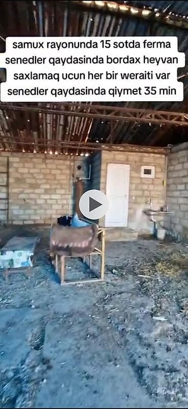 opşitel evler: Samux rayonunda 15 sot torpaq sahəsində yerləşən heyvandarlıq ferması — 5