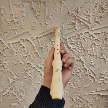 qamis: Blokfleyta Yamaha Ünvan:Nizami 42 (Daxili işlər nazirliyin arxası) İş — 2