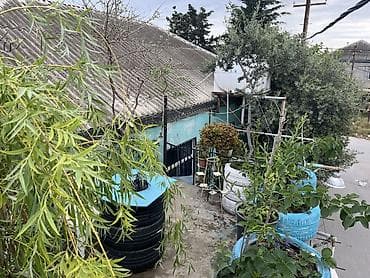 xalqlar dostluğu ev: Kirayə həyət evi 1 otaq. Zığ kəndi. 6 nömrəli dispanserin yanı. Yalnız — 6