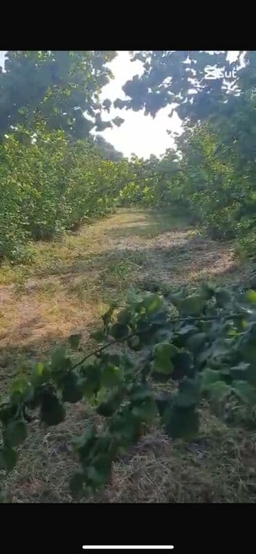 tek sexsiyyet vesiqesi ile ipoteka: 4 otaqlı, 1000 kv. m, Kredit yoxdur, Yeni təmirli — 4
