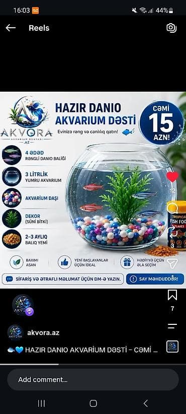 skalyari: Yumru akvarium, Balıqlarla birlikdə, 1 l — 5