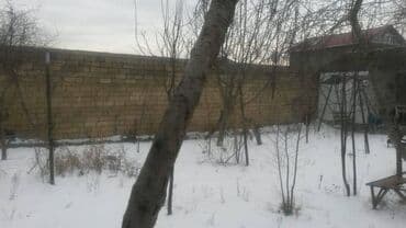 dübəndi torpaq: 10 sot, Tikinti, Makler, Kupça (Çıxarış) — 1