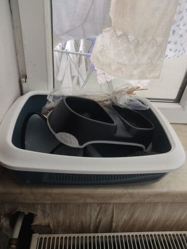 Dişi, Ünvandan götürmə