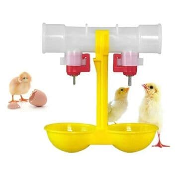 cuce dami: Yem qabı, Su üçün, Quşlar üçün, Ünvandan götürmə, Rayonlara çatdırılma, Ödənişli çatdırılma — 5