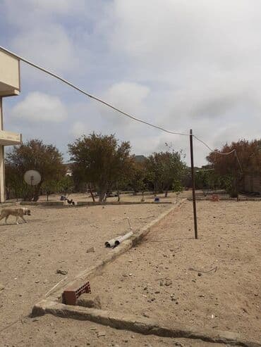 ev alıram: 8 otaq, 480 kv. m, Orta təmir — 18